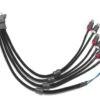 VX-INHARNESS-4CH-RP